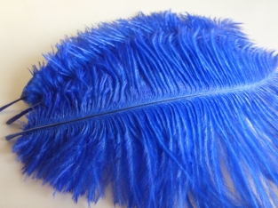 Ostrich Feather Small Blue 3 stuks